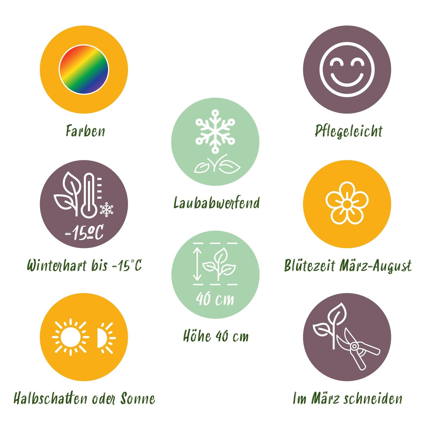 Stauden paket - Bodendecker - 8 Stauden - Für 1 m2 - Verschiedene Farben - Wenig Pflege - Topf 11cm