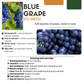 6 x Bio-Weinreben – Ø 13 cm – ↨ 20 cm