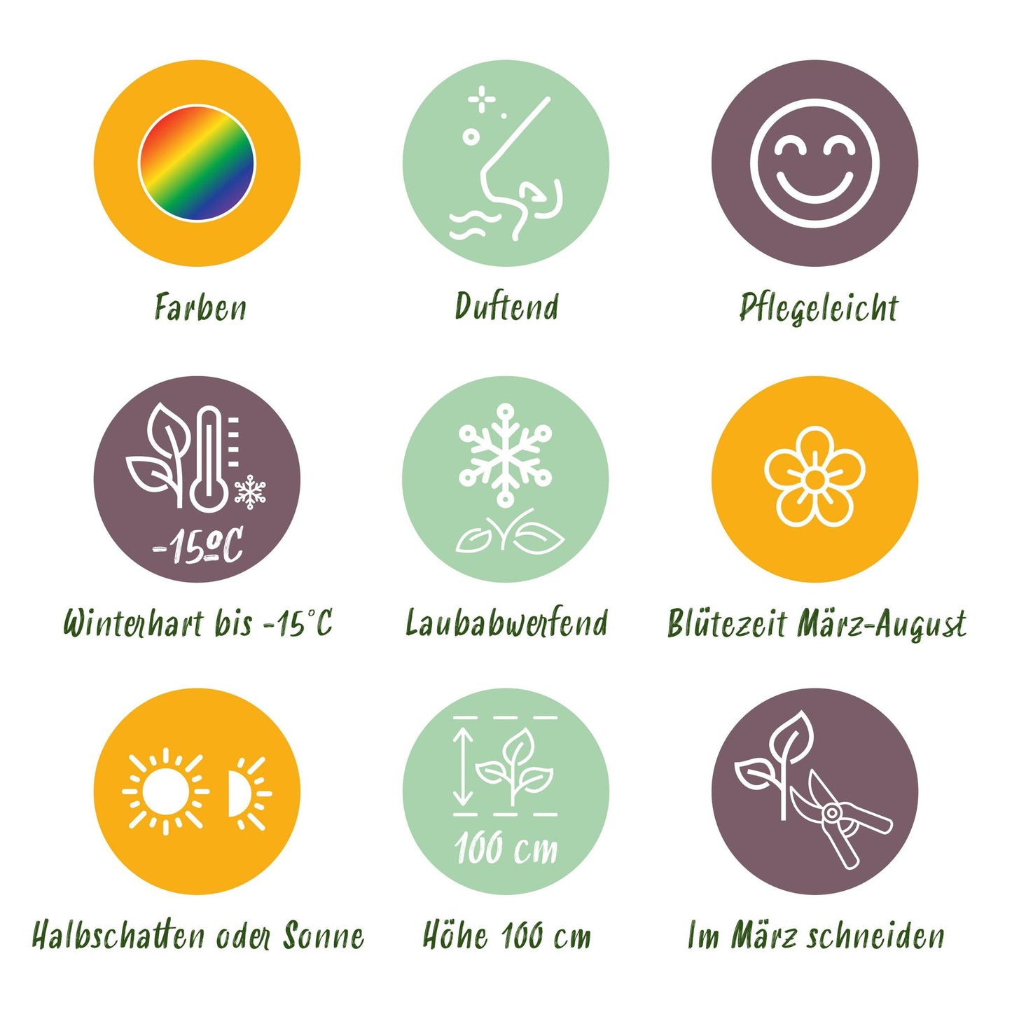 Stauden paket - Duftend - 24 Stauden - Für 3 m2 - Verschiedene Farben - Wenig Pflege - Topf 11cm