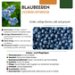 6 x Heidelbeerpflanzen BIO – Ø 13 cm – ↨ 20 cm