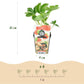 Obstpflanzen - Erdbeere - Fragaria Elvira - Winterhart - 3 Pflanzen - Topf 9 cm - Rote Erdbeere