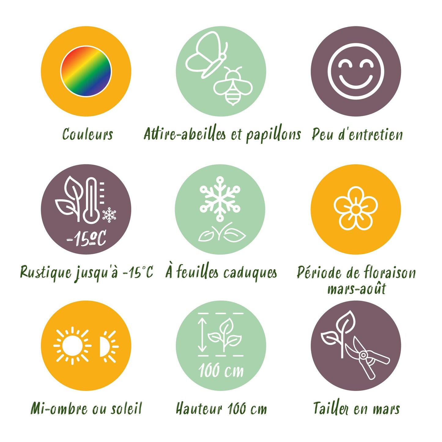 Stauden pakket - Farbe Weiß - 8 Stauden - Für 1 m2 - Verschiedene Farben - Wenig Pflege - Topf 11cm