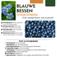 6 x Heidelbeerpflanzen BIO – Ø 13 cm – ↨ 20 cm