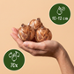 70x Bulb Sunny Garden - Sunny Garden Bulb Mix - Miscellaneous - Summer bloomer