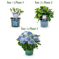 Hortensie - Hydrangea Magical Revolution Blue - Blau - 6-10 Blumen - Topf 23cm Höhe 55cm