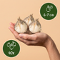 40x Allium Ping Pong - Kugellauch Ping Pong - Weiß - Sommerblüher - Zwiebelgröße 6/7