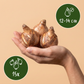 15x Narcissus large Cupped mix - Großkronige Narzisse Mischung - Gelb und Weiß - Frühlingsblüher - Zwiebelgröße 12/14