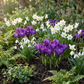50x Bulb Shade Garden - Schattengarten mit Zwiebelpflanzen - Sommerblüher