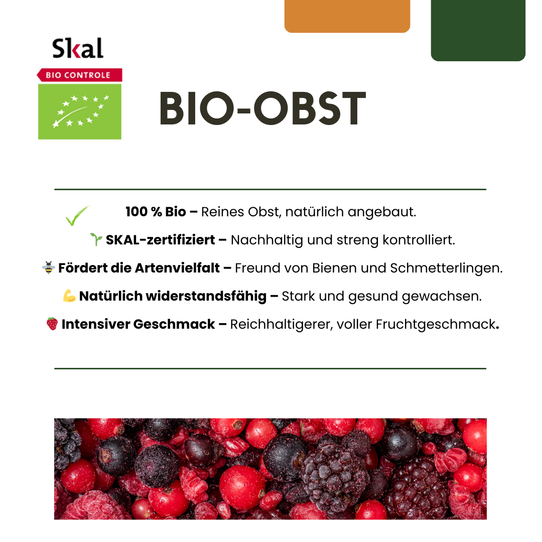 6 x Bio-Weinreben – Ø 13 cm – ↨ 20 cm