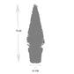 Ilex pyramide 55 cm hoog | 1x  -  Ø  21 cm