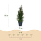 Heckenpflanzen - Thuja occidentalis Smaragd - Blatt grün - 6 Pflanzen - 1 laufender Meter - immergrün - Topf 17cm Höhe 60cm