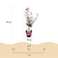 Japanischer Ahorn - Acer palmatum Skeeters Broom - Lila - 1 Pflanze - Laubabwerfend - Topf 19cm Höhe 70cm