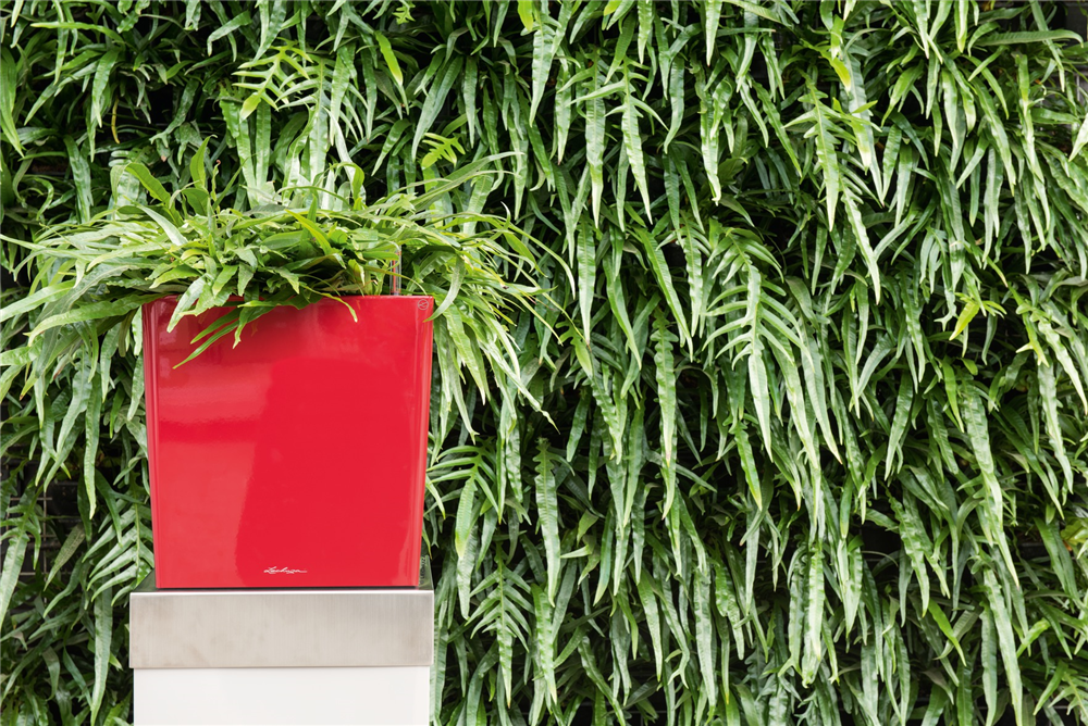 LECHUZA CUBE Premium 30