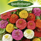 Zinniensamen 'Liliput'