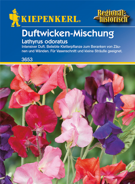 Duftwicke