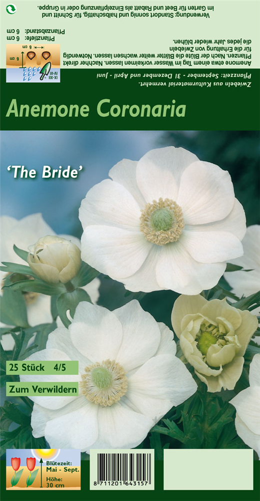 Kronen-Anemone 'De Caen The Bride'