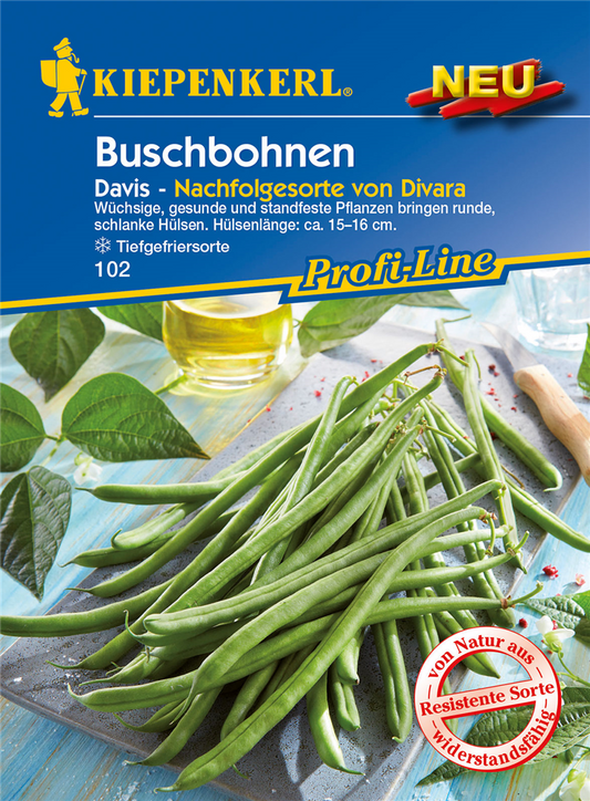 Buschbohne 'Davis'