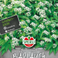 Bärlauch