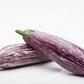 Aubergine 'Lucilla'